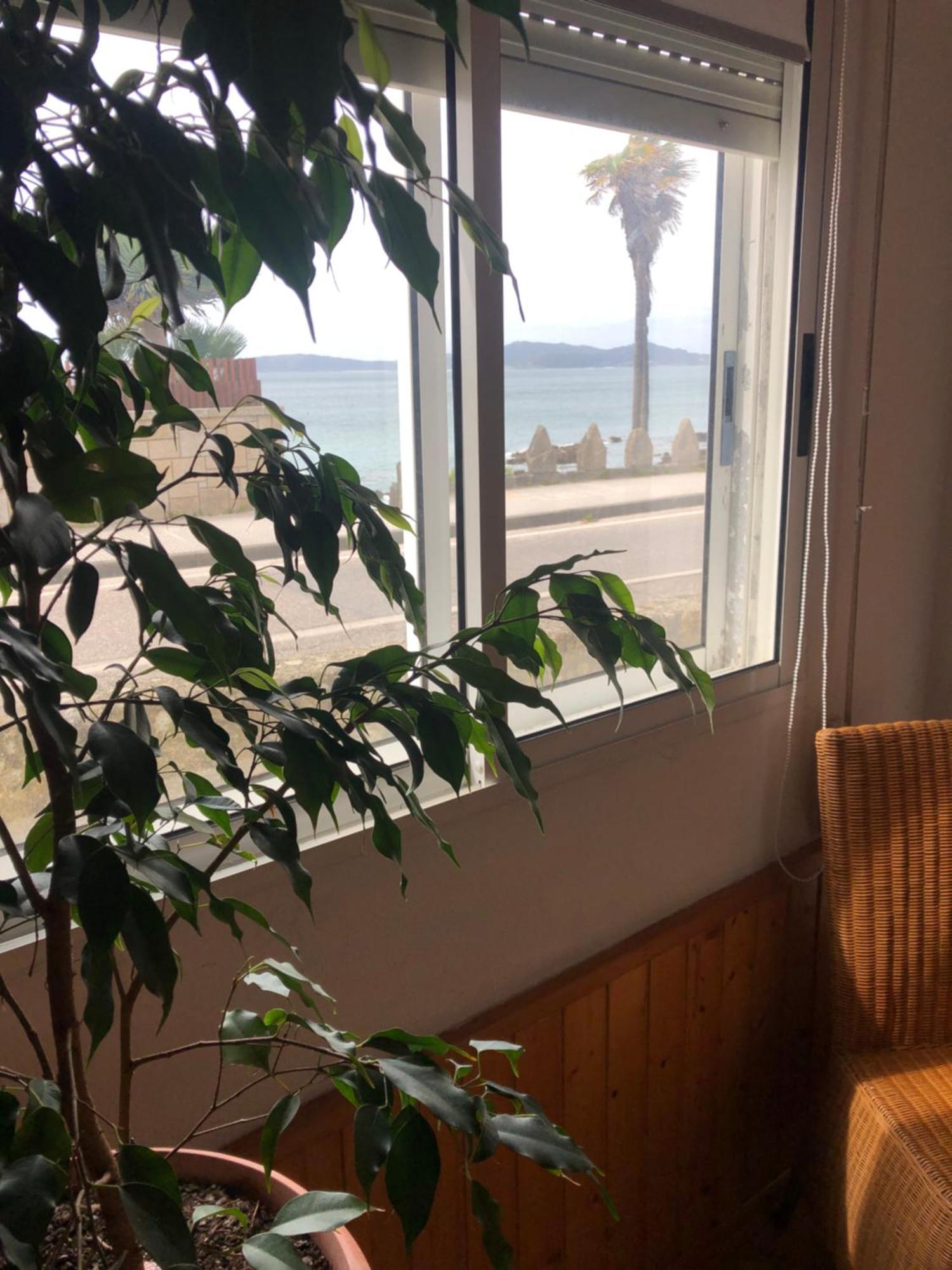 Nankurunaisa Vigo Dış mekan fotoğraf